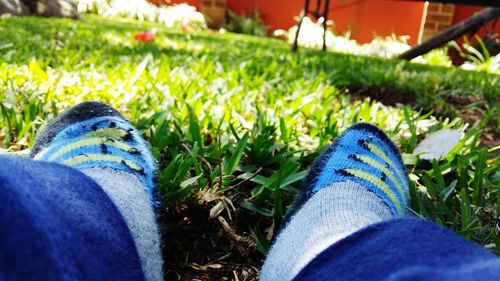 Low section of people sitting on grass