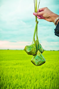 Cropped hand of woman holding rice dumpling on agricultural field