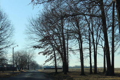 Road amidst bare trees against sky