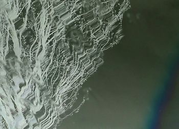 Full frame shot of water surface