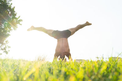 Green grass growing on lawn near male doing headstand during yoga session on sunny day in park