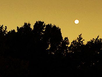 Low angle view of silhouette trees against sky at sunset