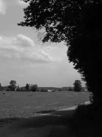 Scenic view of field against sky