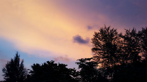 Silhouette trees against sky at sunset