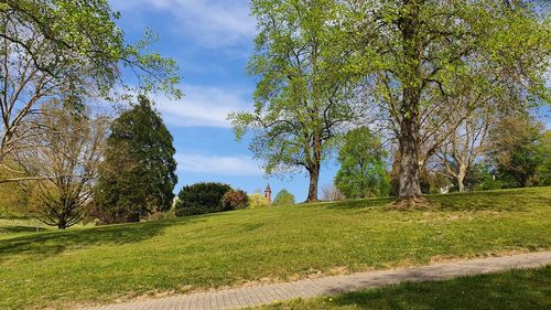 Trees on field against sky