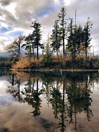 Reflection of trees in lake against sky