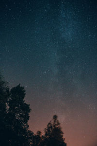 Low angle view of trees against sky at night