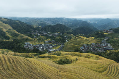 Aerial view of rice fields in longji, china