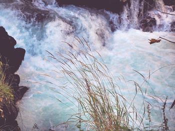 Scenic view of waterfall