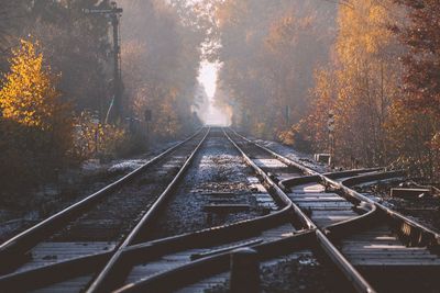 Rail junction in autumn