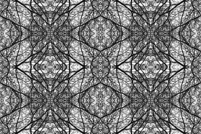 Low angle view of tree