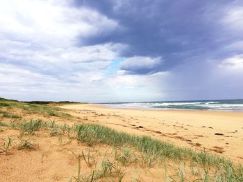 Scenic view of beach against sky