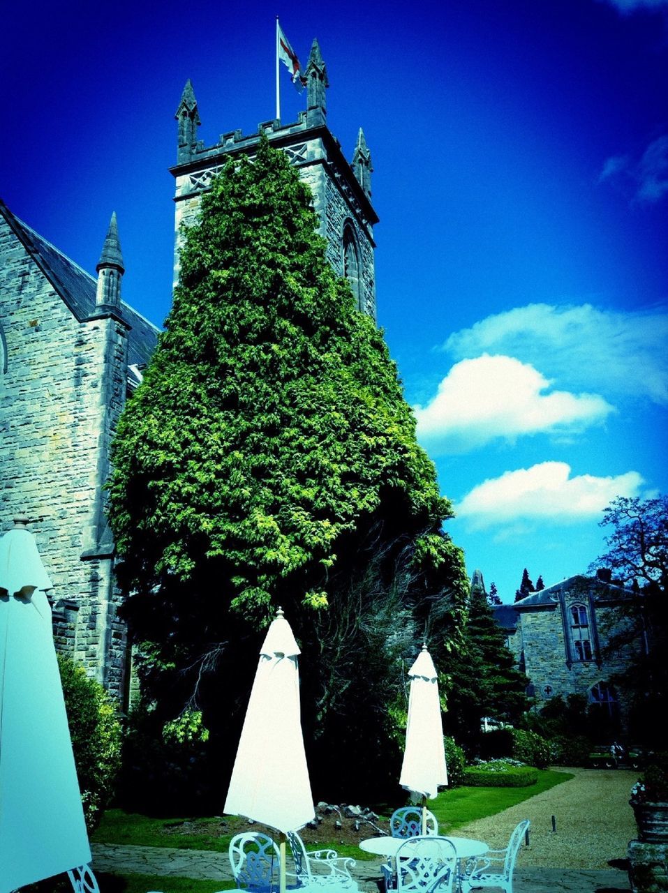 building exterior, built structure, architecture, religion, church, place of worship, blue, spirituality, sky, low angle view, cross, tree, sunlight, day, cathedral, clear sky, history, outdoors