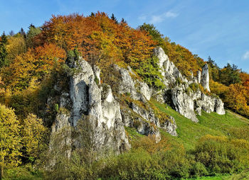 Scenic view of landscape against sky during autumn