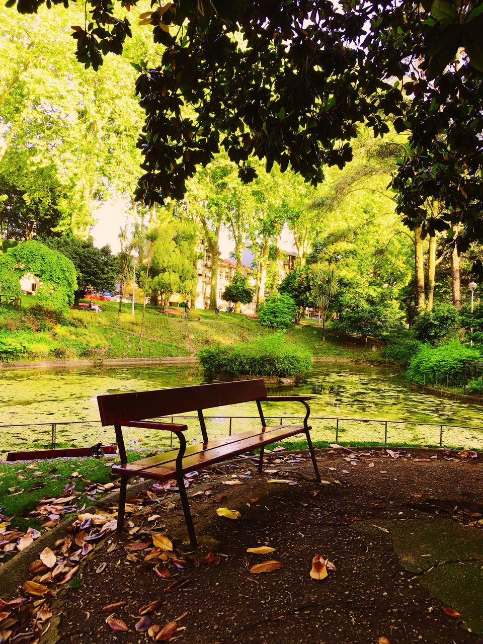 EMPTY BENCH IN PARK AT GARDEN