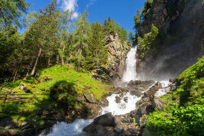 Scenic view of waterfall in forest