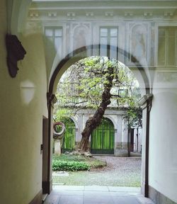 Ivy seen through open door