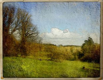 Trees on grassy field