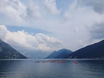 Mussel farm in kotor montenegro