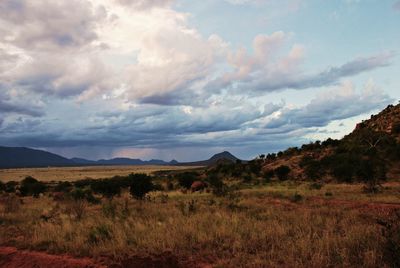 Scenic view of landscape against sky