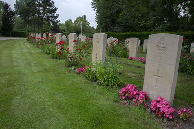 View of flowering plants in cemetery