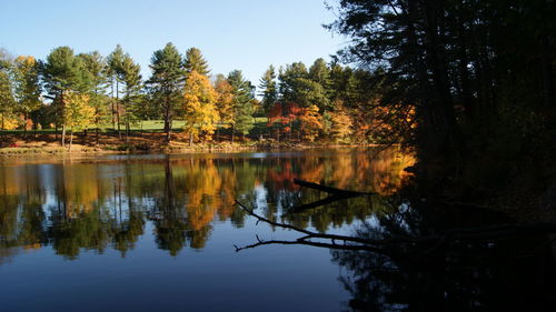 Reflection of trees in lake against sky