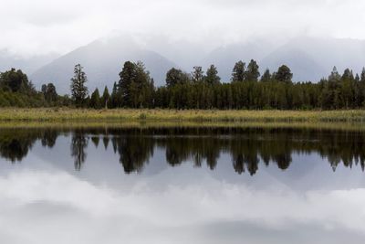 reflection