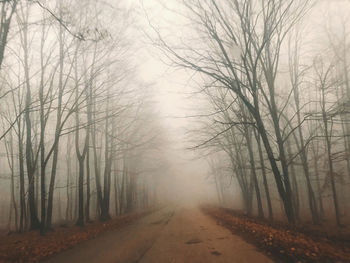 Road amidst trees during winter