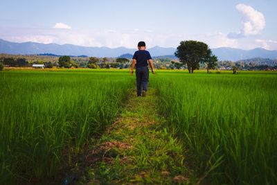 Rear view of man walking on field against sky