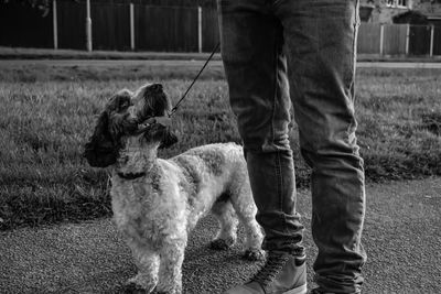 Low section of man with dog standing on field