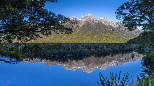 Reflection of trees in lake against sky