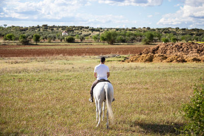 Rear view of man riding horse