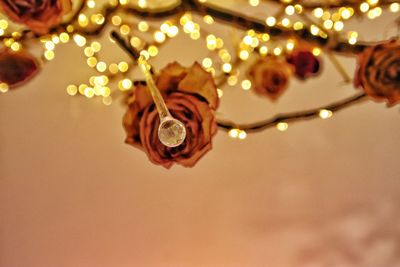 Low angle view of christmas lights hanging on ceiling