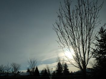 Silhouette of bare trees against sky at sunset