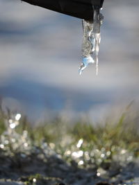 Close-up of frozen water