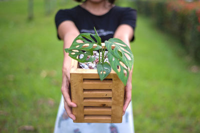 Midsection of girl holding plant on field