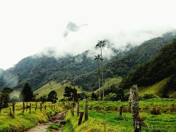 Scenic view of landscape against sky during rainy season