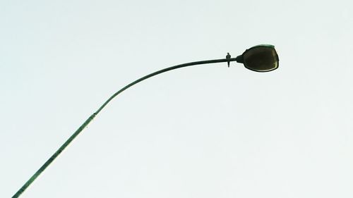 Close-up of wire against white background