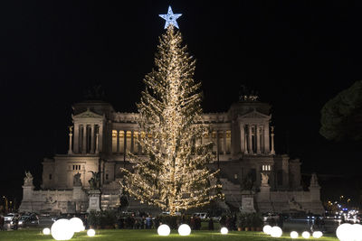 Illuminated christmas tree at night
