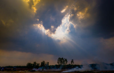 Low angle view of silhouette trees against sky during sunset