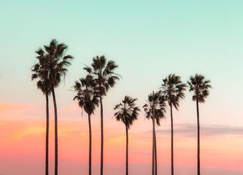 Low angle view of coconut palm trees against romantic sky