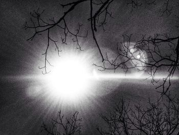 Bare trees against sky