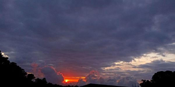 Low angle view of silhouette trees against sky during sunset