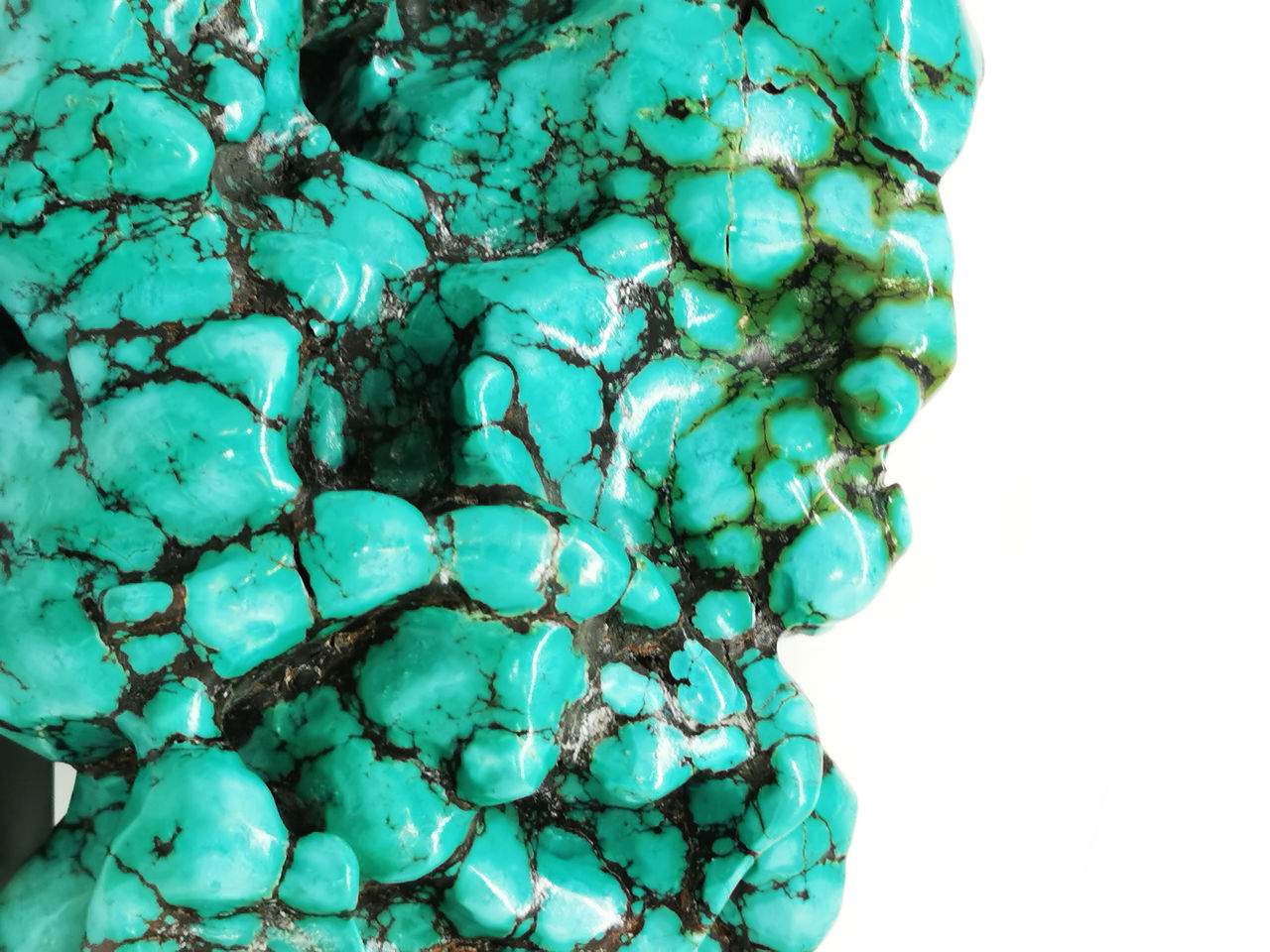 turquoise, gemstone, science, jewellery, aqua, healthcare and medicine, biology, green, turquoise colored, close-up, teal, fashion accessory, no people, blue, magnification, indoors, pattern, mineral, microbiology, research, illness, nature, medical, studio shot, anatomy, education