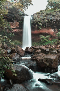 Scenic view of waterfall in forest