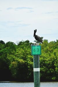 Road sign against sky