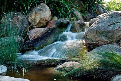 Scenic view of waterfall