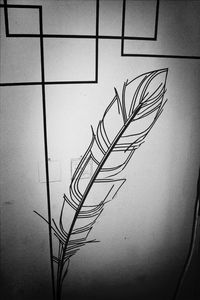 Close-up of plant against wall