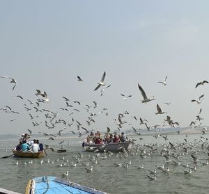 Birds flying over sea against clear sky