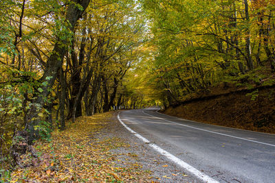 Empty road amidst trees during autumn